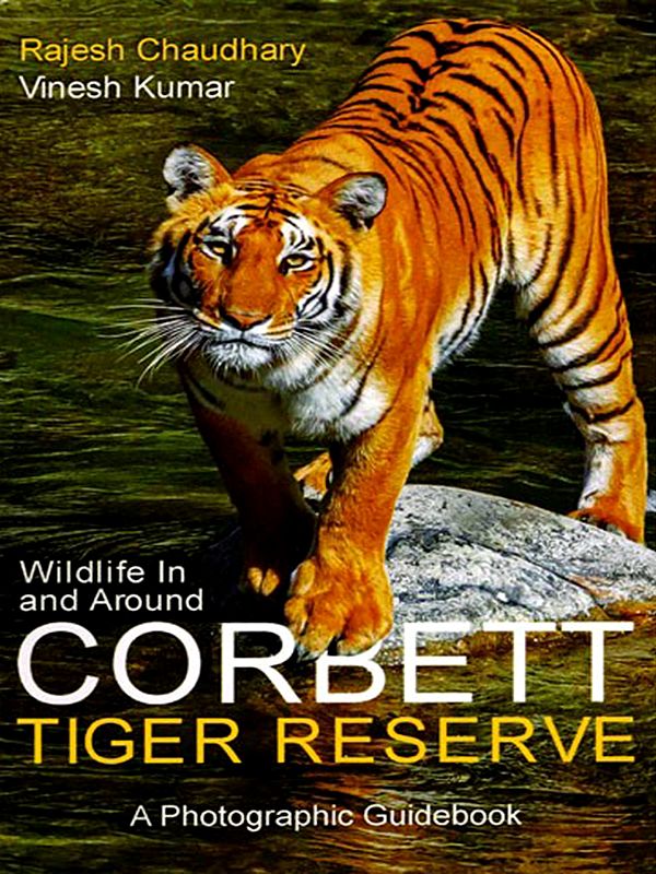 Wildlife in and Around Corbett Tiger Reserve (A Photographic Guidebook)