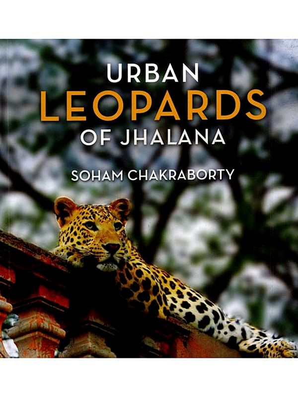 Urban Leopards of Jhalana