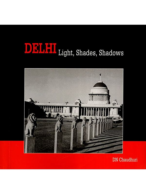 Delhi Light, Shades, Shadows