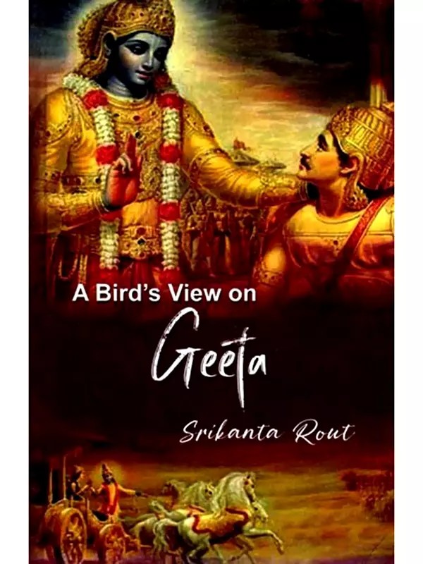 A Bird's View on Geeta