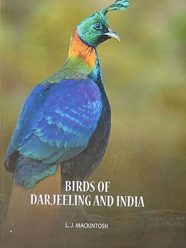 Birds of Darjeeling and India