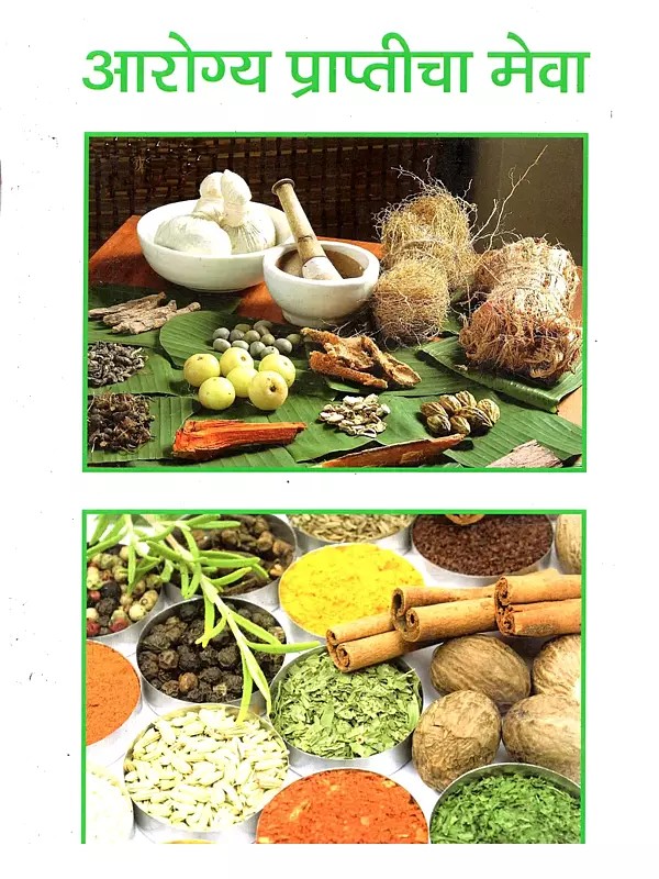 आरोग्य प्राप्तीचा मेवा: Arogya Praptica Meva (Marathi)