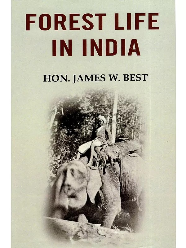Forest Life in India