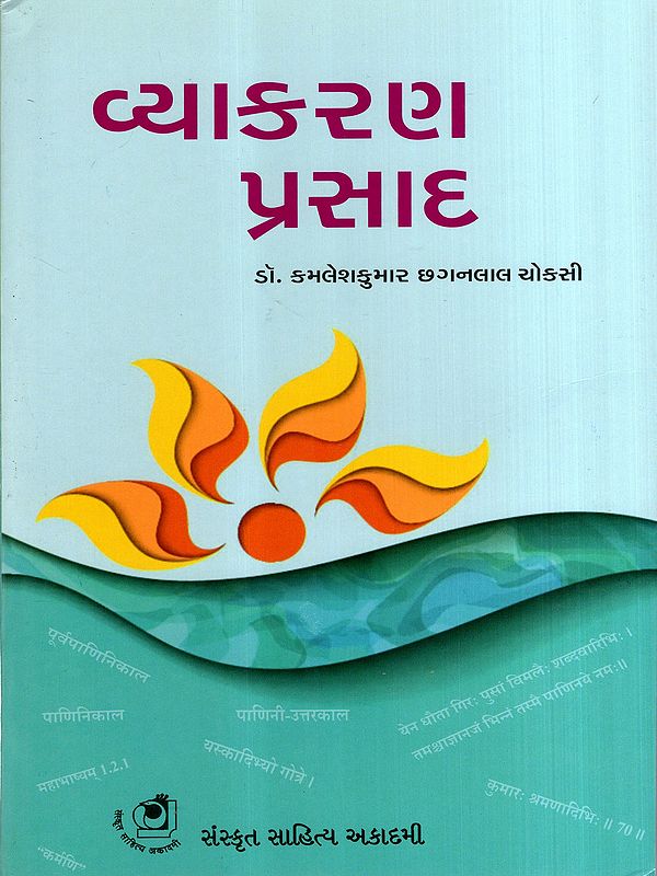 વ્યાકરણ પ્રસાદ: Vyakaran Prasad (Gujarati)