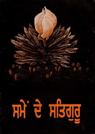 ਸਮੇਂ ਦੇ ਸਤਿਗੁਰੂ- Samem De Satiguru (An Old and Rare Book in Punjabi)