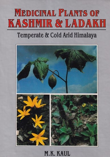 Medicinal Plants of Kashmir & Ladakh (Temperate & Cold Arid Himalaya)