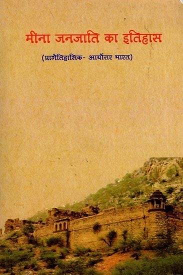 मीना जनजाति का इतिहास (प्रागैतिहासिक - आर्योत्तर भारत): History of Meena Tribe (Prehistoric - Post Aryan India)