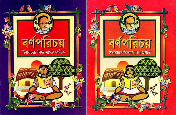 বর্ণপরিচয়: Barna Parichaya in Bengali (Set of 2 Volumes)