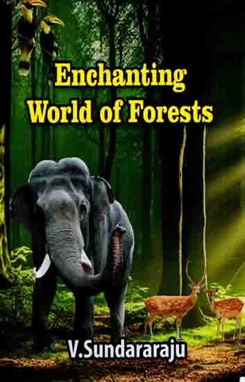 Enchanting World of Forests