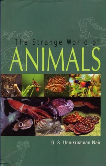 The Strange World of Animals