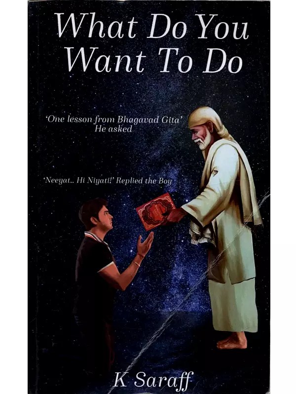 What Do You Want to Do: One Lesson from Bhagavad Gita He Asked Neeyat.. Hi Niyati!' Replied the Boy