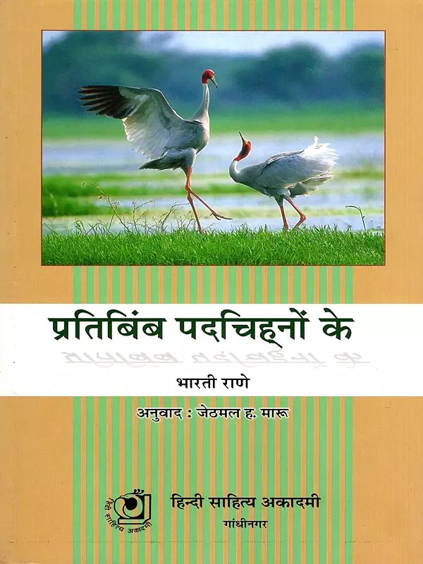 प्रतिबिंब पदचिह्नों के- Pratibimb Padchinho Ke (A Collection of Travel Essays)