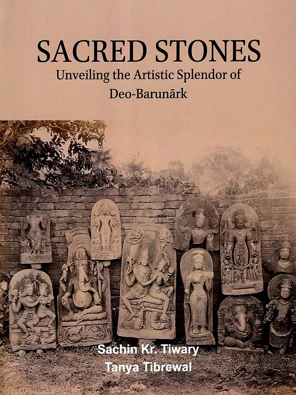 Sacred Stones (Unveiling the Artistic Splendor of Deo-Barunark)