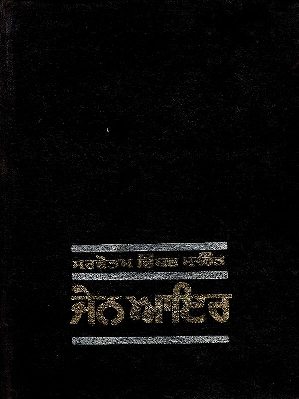 ਜੇਨ ਆਇਰ: Jane Eyre- Novel (An Old and Rare Book in Punjabi)