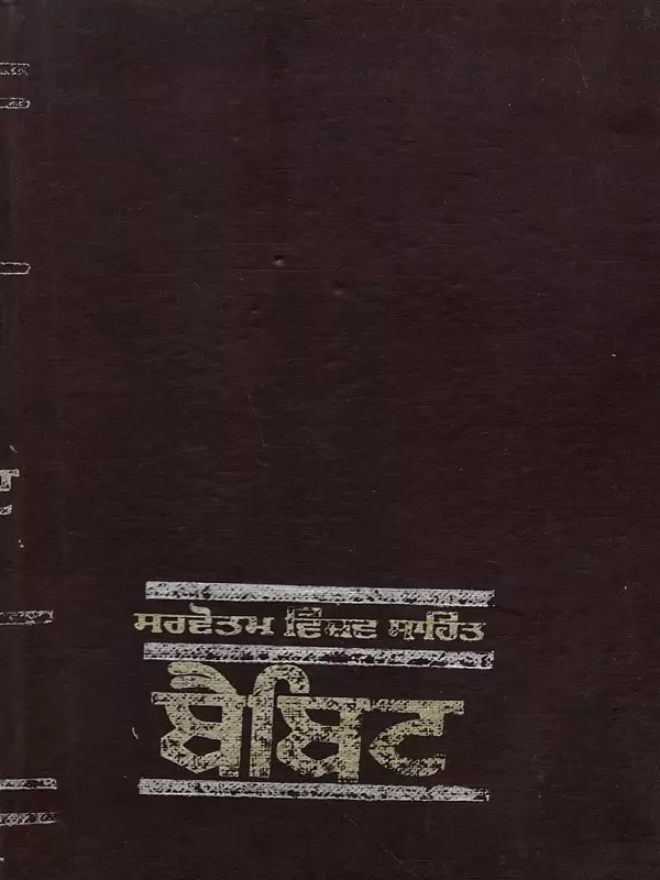 ਬੈਬਿਟ: Babbitt- Novel (An Old and Rare Book in Punjabi)