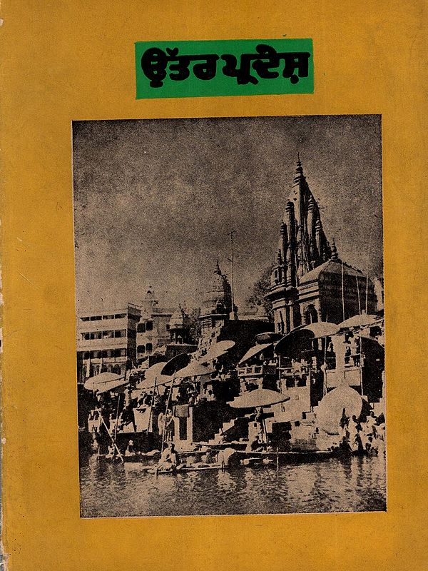 ਉੱਤਰ ਪ੍ਰਦੇਸ਼: Uttar Pradesh (An Old and Rare Book in Punjabi)