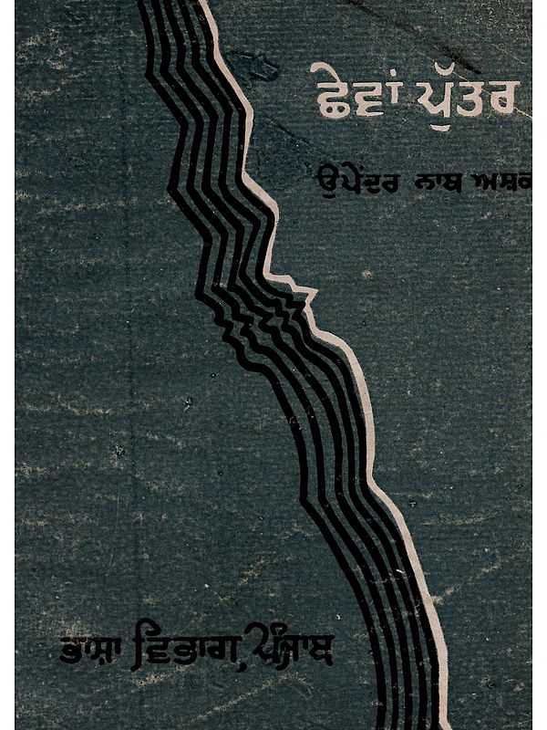 ਛੇਵਾਂ ਪੁੱਤਰ: Chhevan Putra in Punjabi (An Old and Rare Book)