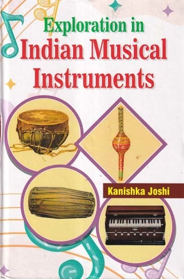 Exploration in Indian Musical Instruments