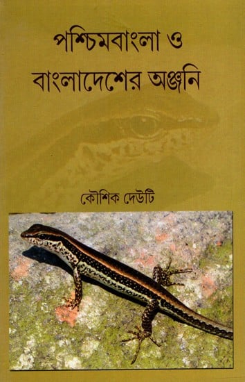 পশ্চিমবাংলা ও বাংলাদেশের অঞ্জনি: Skinks of West Bengal and Bangladesh (Bengali)