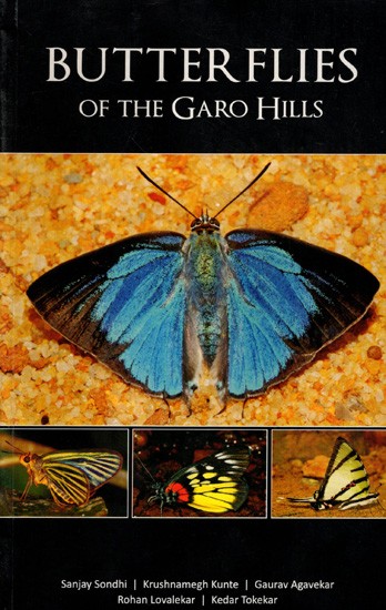 Butterflies of the Garo Hills (An Old and Rare Book)