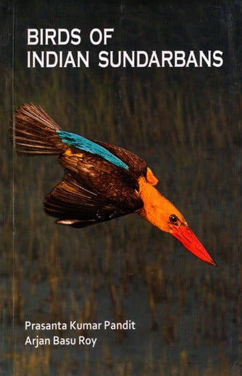 Birds of Indian Sundarbans