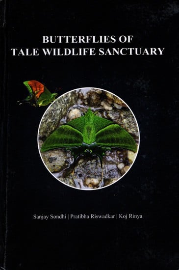 Butterflies of Tale Wildlife Sanctuary