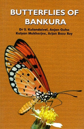 Butterflies of Bankura