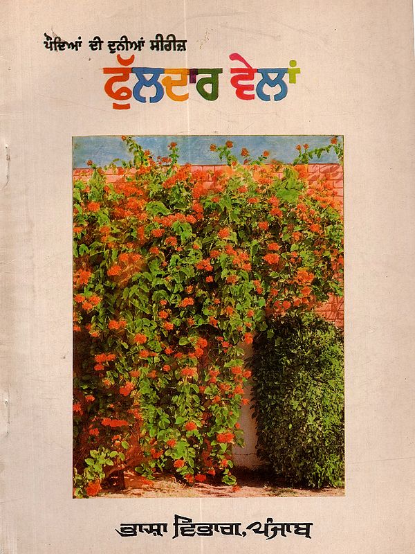 ਫੁੱਲਦਾਰ ਵੇਲਾਂ: Phuldar Wailan (Punjabi) - An Old and Rare Book