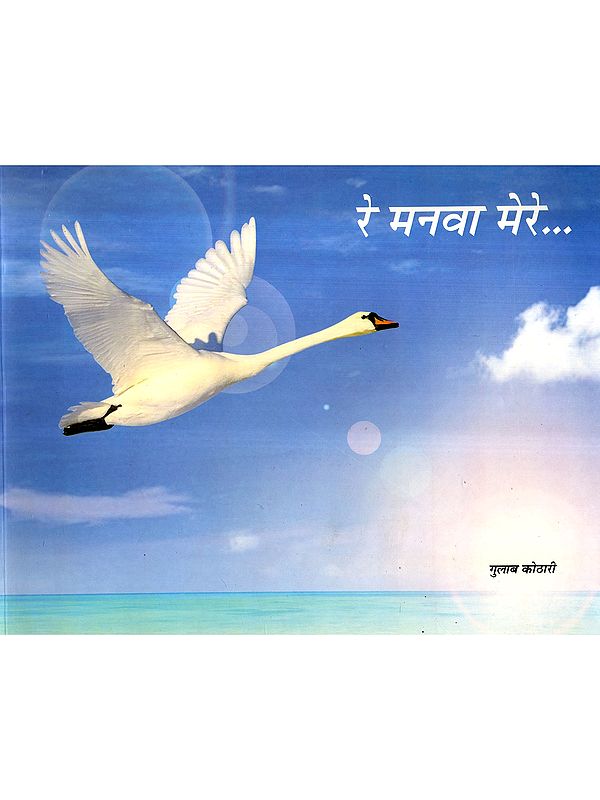 रे मनवा मेरे: Re Manva Mere