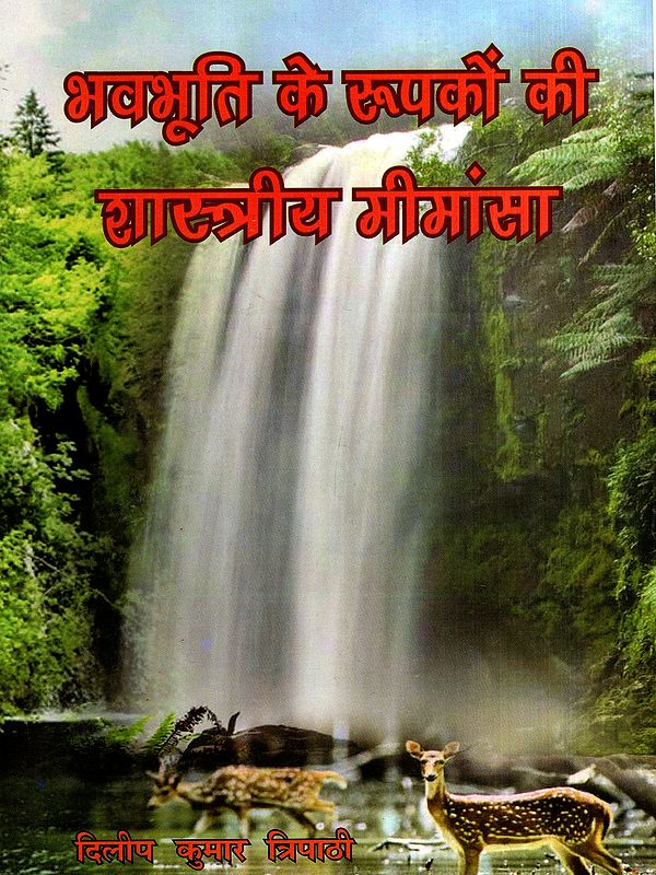 भवभूति के रूपकों की शास्त्रीय मीमांसा: Classical Interpretation of Bhavabhuti's Metaphors