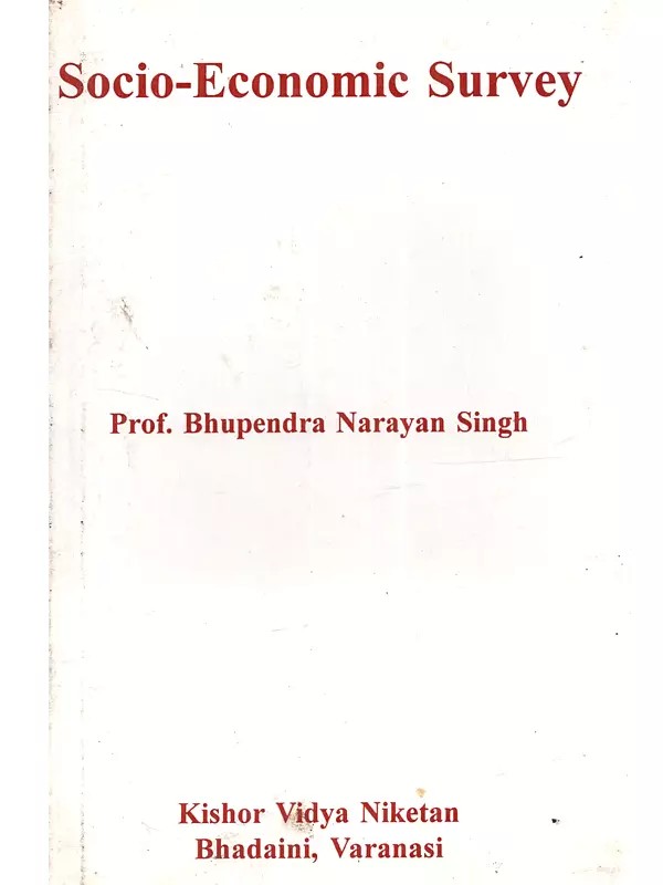 Socio-Economic Survey