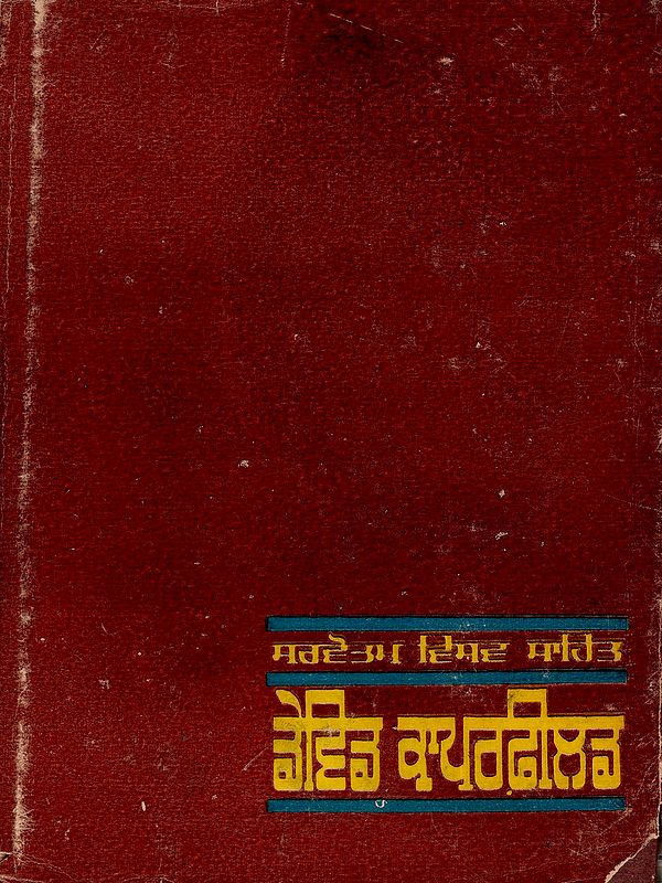 ਡੇਵਿਡ ਕਾਪਰਫ਼ੀਲਡ: David Copperfield- Novel (Volume 2 in Punjabi) An Old and Rare Book