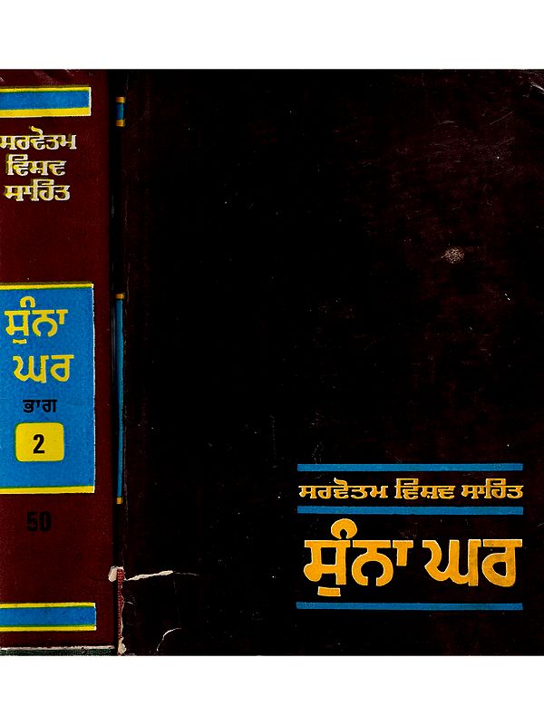 ਸੁੰਨਾ ਘਰ: Sunna Ghar (Set of 2 Volumes) An Old and Rare Book in Punjabi