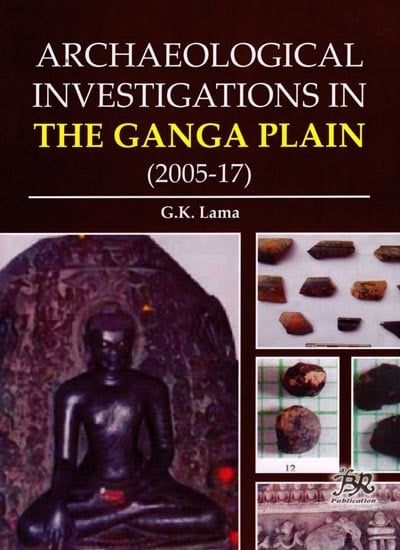 Archaeological Investigations in The Ganga Plain (2005-17)