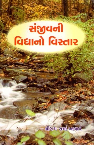 સંજીવની વિદ્યાનો વિસ્તાર- Sanjivani Vidhyano Vistar (Gujarati)