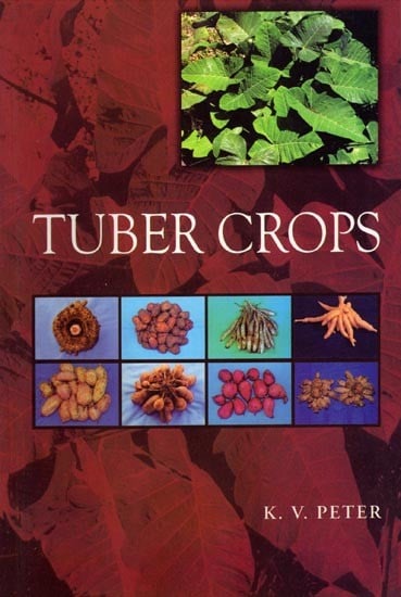 Tuber Crops