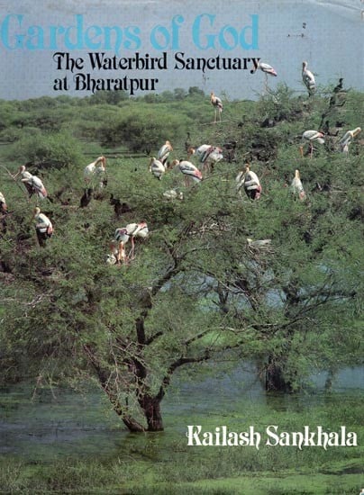 Gardens of God: The Waterbird Sanctuary at Bharatpur (An Old and Rare Book)