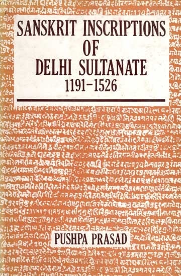 Sanskrit Inscriptions of Delhi Sultanate 1191-1526 (An Old and Rare Book)