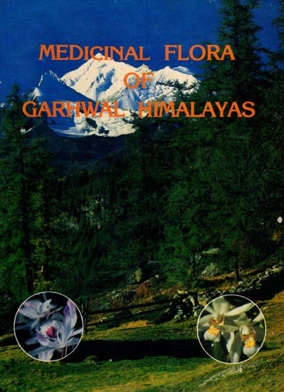 Medicinal Flora of Garhwal Himalayas (An Old and Rare Book)