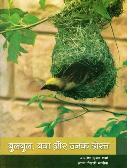 बुलबुल, बया और उनके दोस्त- Bulbul, Baya and Their Friends