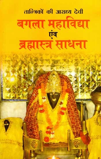 तान्त्रिकों की आराध्य देवी- बगला महाविद्या एंव ब्रह्मास्त्र साधना: Tantriko Ki Aaradhya Devi- Bagala Mahavidya and Brahmastra Sadhana