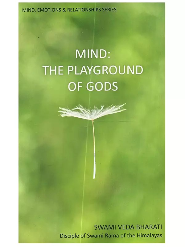 Mind: The Playground of Gods