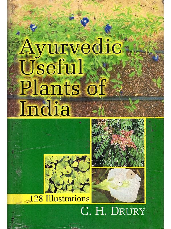 Ayurvedic Useful Plants of India (128 Illustrations)