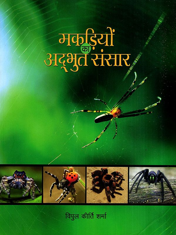 मकड़ियों का अद्भुत संसार: The Amazing World of Spiders