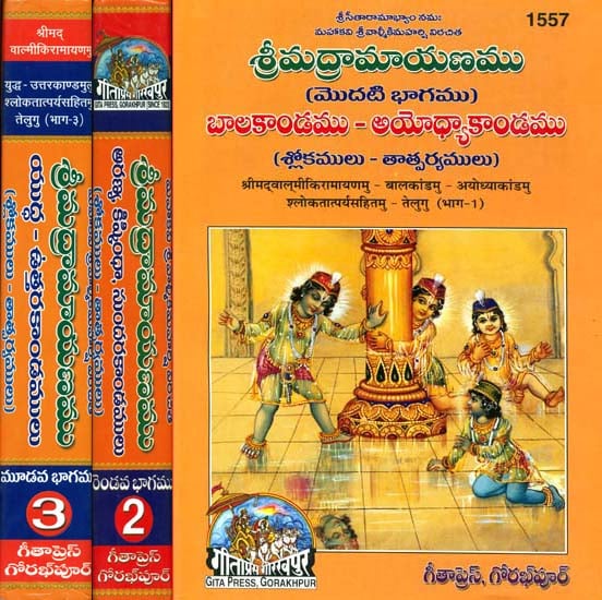 శ్రీమద్రామాయణము (బాలకాండము - అయోధ్యాకాండము): Complete Ramayana by Valmiki in Telugu (Set of 3 Volumes)