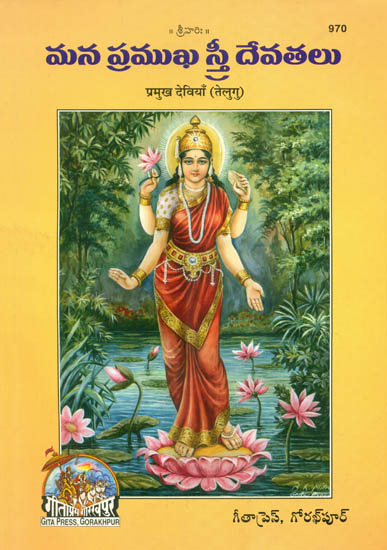 మన మ్రవఖ స్ర ఔవతలు: The Principal Hindu Goddesses in Telugu (Picture Book)