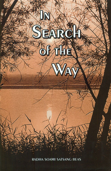 In Search of The Way