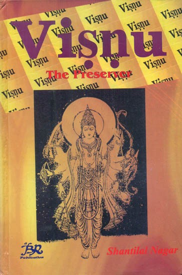 Visnu (The Preserver)