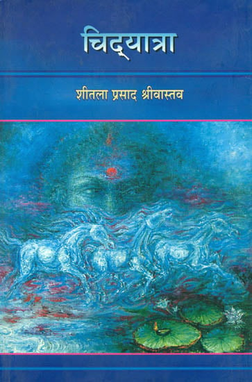 चिद्यात्रा: Chidyatra - A Collection of Poems