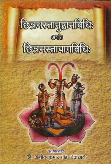 छिन्नमस्तानुष्ठानविधि अर्थात छिन्नमस्तायागविधि: How to Perform Worship of Mahavidya Chinnamasta